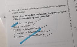 8.
7. Hücre bölünmesi canlılarda çeşitli faaliyetlerin gerçekleş-
mesini sağlar.
Buna göre, aşağıdaki canlılardan hangisinde hücre
bölünmesinin işlevi yanlış verilmiştir?
A) Amip → Büyüme
B Alg →
Üreme X
C) Bitki → → Büyüme/Üreme
MEB Ölçme, Değerlendirme v
D) Mantar →
Büyüme/Üreme
E) Hayvan → Üreme/Büyüme
C)
D
E
11.