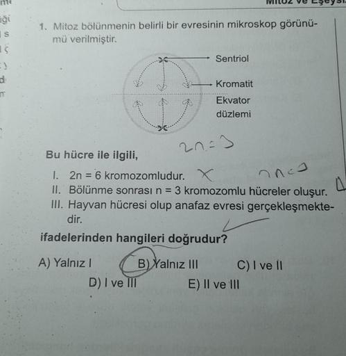 aği
s
S
1. Mitoz bölünmenin belirli bir evresinin mikroskop görünü-
mü verilmiştir.
A) Yalnız I
D) I ve III
Sentriol
Bu hücre ile ilgili,
1. 2n = 6 kromozomludur. X
nnco
II. Bölünme sonrası n = 3 kromozomlu hücreler oluşur.
III. Hayvan hücresi olup anafaz 