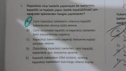 2.
Kapsülsüz olup hastalık yapamayan bir bakterinin,
kapsüllü ve hastalık yapıcı özellik kazanabilmesi için
aşağıdaki işlemlerden hangisi yapılmalıdır?
B)
Canlı kapsülsüz bakterilerin ortamına kapsüllü
bakterilerden alınmış özütü ekleme
Canlı durumdaki kapsüllü ve kapsülsüz bakterileri
farklı besiyerlerinde çoğaltma
C) Kapsülsüz bakterilerin yaşadığı besiyerine kapsül
parçalan ekleme
D) Öldürülmüş kapsülsüz bakterileri, canlı kapsüllü
bakterilerle aynı besiyerine aşılama
E) Kapsüllü bakterilerin DNA özütünü, ısıtılmış
kapsülsüz bakterilerin bulunduğu ortama koyma
Yukan
bakteri
aşağıd
A
6 a
12
DY t
e
Ents
ko