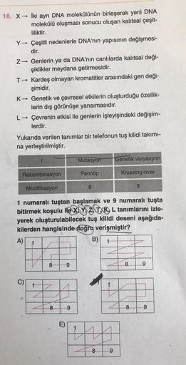 18. X→ İki ayrı DNA molekülünün birleşerek yeni DNA
molekülü oluşması sonucu oluşan kalıtsal çeşit-
liliktir.
Y→ Çeşitli nedenlerle DNA'nın yapısının değişmesi-
dir.
Z→ Genlerin ya da DNA'nın canlılarda kalıtsal deği-
şiklikler meydana getirmesidir.
T→ Kar