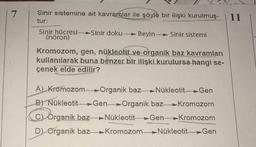 7
Sinir sistemine ait kavramlar ile şöyle bir ilişki kurulmuş-
tur:
Sinir hücresi-Sinir doku- Beyin- Sinir sistemi
(nöron)
Kromozom, gen, nükleotit ve organik baz kavramları
kullanılarak buna benzer bir ilişki kurulursa hangi se-
çenek elde edilir?
A) Kromozom-Organik baz-Nükleotit Gen
B) Nükleotit-Gen Organik baz-Kromozom
C) Organik bazNükleotit Gen-Kromozom
D) Organik baz-Kromozom-Nükleotit-Gen
11
