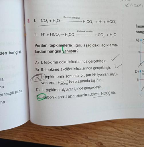 den hangisi-
ha
ma
yi tespit etme
ma
3. I. CO, +H,O
Karbonik anhidraz
H₂CO3 → H+ + HCO
-
Karbonik anhidraz
II. H+ + HCO→ H₂CO3
CO, + H,O
Verilen tepkimelerle ilgili, aşağıdaki açıklama-
lardan hangisi yanlıştır?
A) 1. tepkime doku kılcallarında gerçekleşir