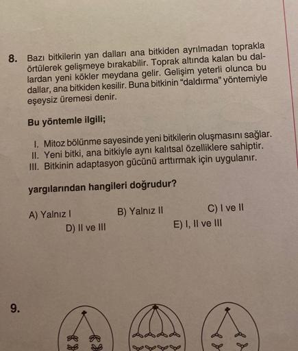 8. Bazı bitkilerin yan dalları ana bitkiden ayrılmadan toprakla
örtülerek gelişmeye bırakabilir. Toprak altında kalan bu dal-
lardan yeni kökler meydana gelir. Gelişim yeterli olunca bu
dallar, ana bitkiden kesilir. Buna bitkinin "daldırma" yöntemiyle
eşey