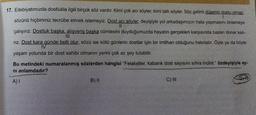 1
17. Edebiyatımızda dostlukla ilgili birçok söz vardır. Kimi çok acı söyler, kimi tatlı söyler. Söz gelimi düşenin dostu olmaz,
sözünü hiçbirimiz tecrübe etmek istemeyiz. Dost acı söyler, deyişiyle yol arkadaşımızın hata yapmasını önlemeye
||
çalışırız. Dostluk başka, alışveriş başka cümlesini duyduğumuzda hayatın gerçekleri karşısında bazen donar kalı-
rız. Dost kara günde belli olur, sözü ise kötü günlerin dostlar için bir imtihan olduğunu hatırlatır. Öyle ya da böyle
IV
yaşam yolunda bir dost sahibi olmanın yerini çok az şey tutabilir.
Bu metindeki numaralanmış sözlerden hangisi "Felaketler, kabarık dost sayısını sıfıra indirir." özdeyişiyle ay-
ni anlamdadır?
A) I
B) II
C) III
DHV