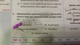 nlardır.
ara en yakın
Cevap B
gostermediği bir ilaca karşı direnç kazanabilir.
E) F* bakteri zararlı genlerinin bir kısmını başka bir
canlıya aktararak daha sağlıklı duruma gelir.
9. Eklembacaklılar şubesinin böcekler sınıfına ait bi-
reylerin tümü için aşağıdakilerden hangisi ortak-
tır?
1 Gift anten
3. hift bacan
A) Üç çift bacak
C) Kapalı kan dolaşımı
E) Eşeysiz üreme
TEST-18 1-B 2-A
2-A 3-A
B) İki çift kanat
D) Parazitizm
3-A 4-B
Şekilde veril
Bitkiler üz
✅. Üzerinde
A
lay alabil
Yalnızca
ifadelerinde
5-E 6-D
A) Yalnız I
7-C