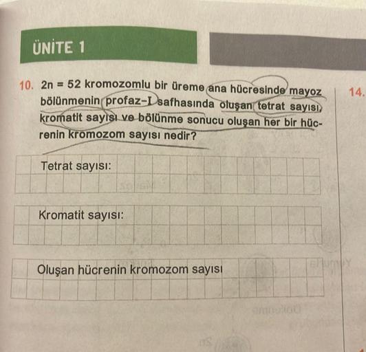 ÜNİTE 1
10. 2n = 52 kromozomlu bir üreme ana hücresinde mayoz
bölünmenin profaz-Isafhasında oluşan tetrat sayısı,
kromatit sayısı ve bölünme sonucu oluşan her bir hüc-
renin kromozom sayısı nedir?
Tetrat sayısı:
Kromatit sayısı:
Oluşan hücrenin kromozom sa