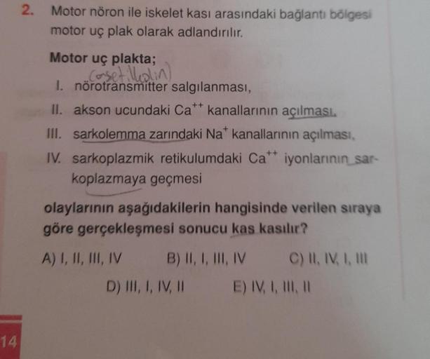 14
2.
Motor nöron ile iskelet kası arasındaki bağlantı bölgesi
motor uç plak olarak adlandırılır.
Motor uç plakta;
Consetilledlin)
I. nörotransmitter salgılanması,
++
II. akson ucundaki Ca** kanallarının açılması.
+
III. sarkolemma zarındaki Na kanallarını