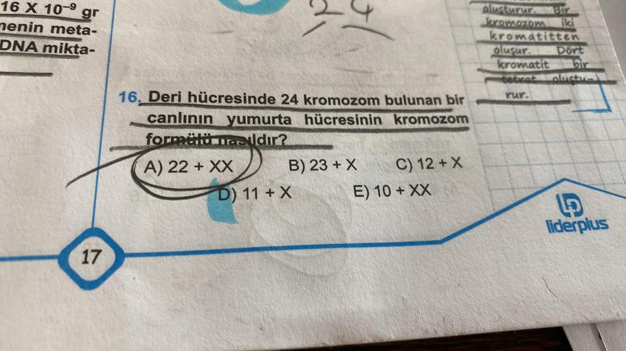 16 X 10⁹ gr
menin meta-
DNA mikta-
17
16. Deri hücresinde 24 kromozom bulunan bir
canlının yumurta hücresinin kromozom
formülü Taldır?
A) 22 + XX
B) 23+ X
D) 11 + X
C) 12+ X
E) 10+ XX
oluşturur
kromozom iki
kromatitten
oluşur.
Dört
kromatit bir
tetrat olus