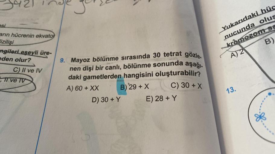 esi
arın hücrenin ekvator
izilişi
ngileri eseyli üre-
eden olur?
C) II ve IV
Il ve IV
9. Mayoz bölünme sırasında 30 tetrat gözle.
nen dişi bir canlı, bölünme sonunda aşağı.
daki gametlerden hangisini oluşturabilir?
A) 60 + XX
B) 29 + X
C) 30 + X
D) 30 + Y