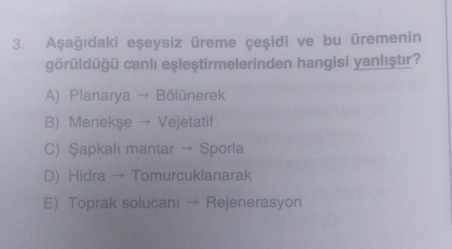 3. Aşağıdaki eşeysiz üreme çeşidi ve bu üremenin
görüldüğü canlı
eşleştirmelerinden
hangisi yanlıştır?
A) Planarya → Bölünerek
B) Menekşe → Vejetatif
C) Şapkalı mantar → Sporla
D) Hidra → Tomurcuklanarak
E) Toprak solucanı → Rejenerasyon