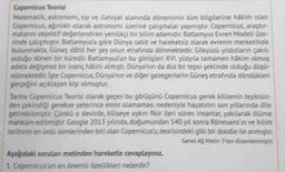 Copernicus Teorisi
Matematik, astronomi, tip ve ilahiyat alanında döneminin tüm bilgilerine hâkim olan
Copernicus, ağırlıklı olarak astronomi üzerine çalışmalar yapmıştır. Copernicus, araştır-
malarını objektif değerlendiren yenilikçi bir bilim adamıdır. Batlamyus Evren Modeli üze-
rinde çalışmıştır. Batlamyus'a göre Dünya sabit ve hareketsiz olarak evrenin merkezinde
bulunmakta, Güneş dâhil her şey onun etrafında dönmektedir. Gökyüzü yıldızların çakılı
olduğu dönen bir küredir. Batlamyus'un bu görüşleri XVI. yüzyıla tamamen hâkim olmuş
adeta değişmez bir inanç halini almıştı. Dünya'nın da düz bir tepsi şeklinde olduğu düşü-
nülmektedir. İşte Copernicus, Dünya'nın ve diğer gezegenlerin Güneş etrafında döndükleri
gerçeğini açıklayan kişi olmuştur.
Tarihe Copernicus Teorisi olarak geçen bu görüşünü Copernicus gerek kilisenin tepkisin-
den çekindiği gerekse yeterince emin olamaması nedeniyle hayatının son yıllarında dile
getirebilmiştir. Çünkü o devirde, kiliseye aykırı fikir ileri süren insanlar, yakılarak ölüme
mahkum edilmiştir. Google 2013 yılında, doğumundan 540 yıl sonra Rönesans'in ve bilim
tarihinin en ünlü isimlerinden biri olan Copernicus'u, teorisindeki gibi bir doodle ile anmıştır.
Genel Ağ Metin 3'ten düzenlenmiştir.
Aşağıdaki soruları metinden hareketle cevaplayınız.
1. Copernicus'un en önemli özellikleri nelerdir?