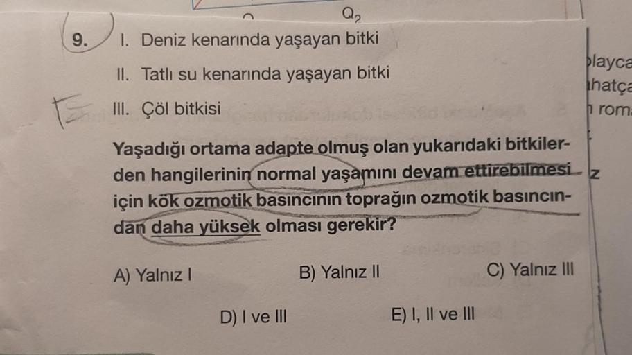 9.
E
Q₂
1. Deniz kenarında yaşayan bitki
II. Tatlı su kenarında yaşayan bitki
III. Çöl bitkisi
Yaşadığı ortama adapte olmuş olan yukarıdaki bitkiler-
den hangilerinin normal yaşamını devam ettirebilmesi Z
için kök ozmotik basıncının toprağın ozmotik basınc