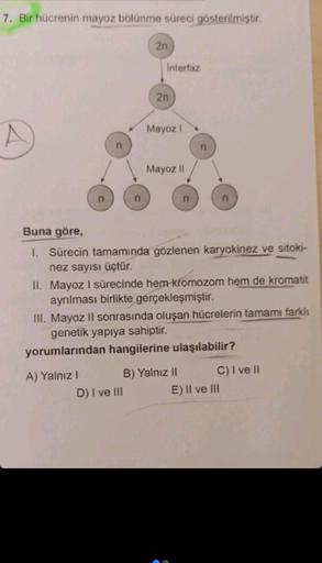 7. Bir hücrenin mayoz bölünme süreci gösterilmiştir.
n
n
A) Yalnız I
n
2n
Interfaz
D) I ve III
2n
Mayoz I
Mayoz II
n
Buna göre,
1. Sürecin tamamında gözlenen karyokinez ve sitoki-
nez sayısı üçtür.
n
II. Mayoz I sürecinde hem kromozom hem de kromatit
ayrıl