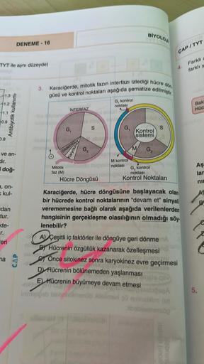 TYT ile aynı düzeyde)
1.3
41.2
+1.1
+0.9
0.8
ve an-
dir.
doğ-
a, on-
kul-
dan
tur.
Antibiyotik kullanımı
kte-
r.
Eeri
DENEME-16
na
CAP
3.
PO- MAR
dön.
Karaciğerde, mitotik fazın interfazı izlediği hücre
güsü ve kontrol noktaları aşağıda şematize edilmiştir