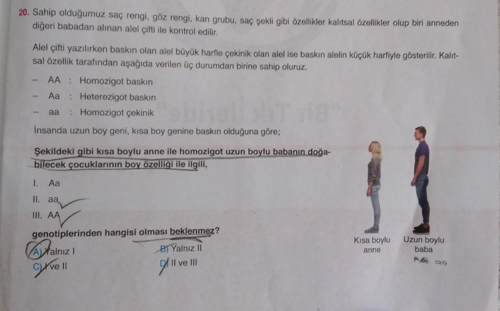 20. Sahip olduğumuz saç rengi, göz rengi, kan grubu, saç şekli gibi ...