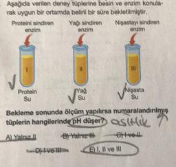 Aşağıda verilen deney tüplerine besin ve enzim konula-
rak uygun bir ortamda belirli bir süre bekletilmiştir.
Proteini sindiren
Nişastayı sindiren
enzim
Protein
Su
Yağı sindiren
enzim
D) Ive
Yağ
Su
III
Bekleme sonunda ölçüm yapılırsa numaralandırılmış
tüplerin hangilerinde pH düşer?) asti
A) Yalnız II
B) Yalnız IN
6)ivell
E) I, II ve III
Nişasta
Su