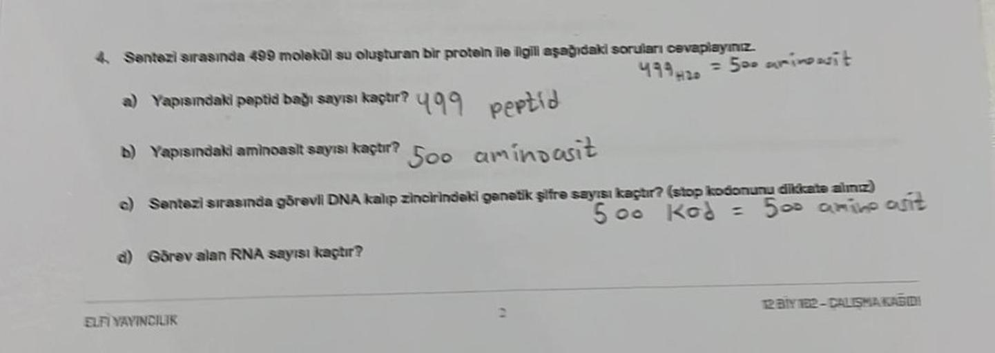 4. Sentezi sırasında 499 molekül su oluşturan bir protein ile ilgili aşağıdaki soruları cevaplayınız.
a) Yapısındaki paptid bağı sayısı kaçtır? 499 peptid
b) Yapısındaki aminoasit sayısı kaçtır? 500
aminoasit
c) Sentezi sırasında görevli DNA kalıp zincirin