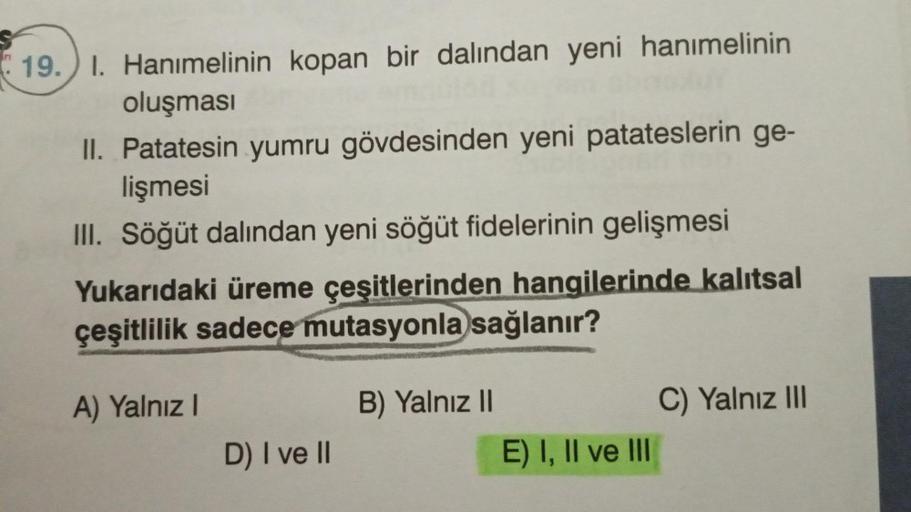 19. 1. Hanımelinin kopan bir dalından yeni hanımelinin
oluşması
II. Patatesin yumru gövdesinden yeni patateslerin ge-
lişmesi
III. Söğüt dalından yeni söğüt fidelerinin gelişmesi
Yukarıdaki üreme çeşitlerinden hangilerinde kalıtsal
çeşitlilik sadece mutasy