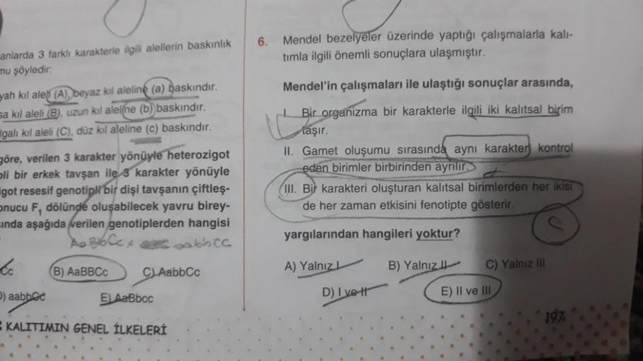 anlarda 3 farklı karakterle ilgili alellerin baskınlık
mu şöyledir:
yah kıl ale (A), beyaz kıl aleline (a) baskındır.
sa kıl aleli (B), uzun kıl aleline (b) baskındır.
galı kıl aleli (C), düz kıl aleline (c) baskındır.
göre, verilen 3 karakter yönüyle hete