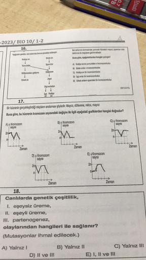 -2023/ BIO 10/1-2
16.
Aşağıdakı şekilde, bal anlarında üreme gomatize edilmiş
Erkek an
Kraliçe an
2n
Yumurtalar
M
Döllenmeden gelişme
A) Kromozom
sayısı
0²
Erkek an
Zaman
Spermler
Döllenme
Zigot
↓
Dişi embriyo
işçi Kraliçe
An an
17.
Bir hücrenin gerçekleşt