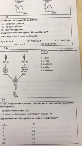 18.
Canlılarda
A) Yalnız I
1. eşeysiz üreme,
II. eşeyli üreme,
III. partenogenez,
Dişi birey
of
A
D) Kromozom
sayısı
Yumurta
2n
M
"Un
olaylarından hangileri ile sağlanır?
(Mutasyonlar ihmal edilecek.)
× N +
19.
idaki şekilde insanda üreme olayı özetlenmişt