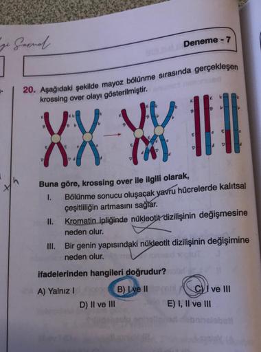 Garnal.
20. Aşağıdaki şekilde mayoz bölünme sırasında gerçekleşen
krossing over olayı gösterilmiştir.
VV
B b
B
E
00
D
D
VV
(X)
II.
Deneme - 7
Buna göre, krossing over ile ilgili olarak,
I.
K
k
B
||||
e
le
D
d D
Bölünme sonucu oluşaçak yavru hücrelerde kalı