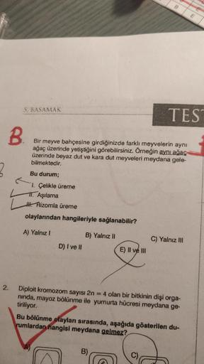 B.
2.
S. BASAMAK
TES
Bir meyve bahçesine girdiğinizde farklı meyvelerin aynı
ağaç üzerinde yetiştiğini görebilirsiniz. Örneğin aynı ağaç
üzerinde beyaz dut ve kara dut meyveleri meydana gele-
bilmektedir.
Bu durum;
1. Çelikle üreme
11. Aşılama
Rizomla ürem