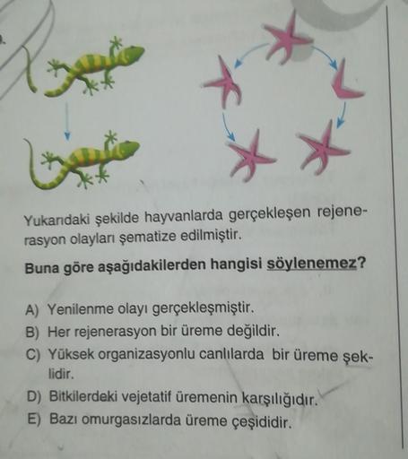 L
Yukandaki şekilde hayvanlarda gerçekleşen rejene-
rasyon olayları şematize edilmiştir.
Buna göre aşağıdakilerden hangisi söylenemez?
A) Yenilenme olayı gerçekleşmiştir.
B) Her rejenerasyon bir üreme değildir.
C) Yüksek organizasyonlu canlılarda bir üreme