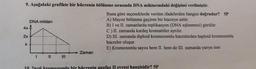 9. Aşağıdaki grafikte bir hücrenin bölünme sırasında DNA miktarındaki değişimi verilmiştir.
DNA miktarı
4x4
2x
X
II
Zaman
Buna göre seçeneklerde verilen ifadelerden hangisi doğrudur? 5P
A) Mayoz bölünme geçiren bir hücreye aittir.
B) I ve II. zamanlarda replikasyon (DNA eşlenmesi) görülür.
C) II. zamanda kardeş kromatitler ayrılır.
D) III. zamanda diploid kromozomlu hücrelerden haploid kromozomlu
hücreler oluşur.
E) Kromozomlu sayısı hem II. hem de III. zamanda yarıya iner.
10 2n=6 kromozomlu bir hücrenin anafaz II evresi hangisidir? 5P