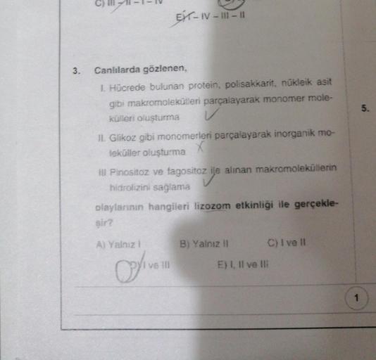3. Canlılarda gözlenen, 1. Hücrede bulunan protein,… Biyoloji 3. Canlılarda gözlenen, 1. Hücrede bulunan protein,… Biyoloji