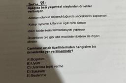 Soru 32:
Aşağıda bazı yaşamsal olaylardan örnekler
verilmiştir.
-Küstüm otunun dokunulduğunda yapraklarını kapatması
-Kutup ayısının kıllarının açık renk olması
-Bazı bakterilerin fermantasyon yapması
-İnsanların üre gibi atık maddeleri böbrek ile dışarı
atması
Canlıların ortak özelliklerinden hangisine bu
örneklerde yer verilmemiştir?
A) Boşaltım
B) Uyum
C) Uyarılara tepki verme
D) Solunum
E) Beslenme