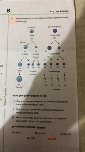 asit
cal
IV
B
Tandem Yayınları
40. Aşağıda oogenez ve spermatogenez olaylan şematik olarak
gösterilmiştir.
Mayoz I
(n)
Oosit
(n)
Yumurta
(Oogenez)
(n)
II. Ootid
1. oosit
(2n)
(n)
1. kutup
hücresi
(n) (n)
II. kutup
hücresi
(n)
(n)
(n)
AYT/Fen Bilimleri
D) I