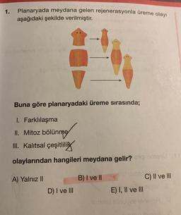 1.
Planaryada meydana gelen rejenerasyonla üreme olayı
aşağıdaki şekilde verilmiştir.
Buna göre planaryadaki üreme sırasında;
1. Farklılaşma
II. Mitoz bölünme
III. Kalıtsal çeşitlilik
olaylarından hangileri meydana gelir? menu
A) Yalnız II
D) I ve III
B) I ve Il
einen
NOULY
E) I, II ve III
C) II ve III
y