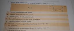 7.
4.
5.
6.
3.
b. Aşağıda verilen özelliklerin hangi aynaya ait olduğunu "✔" işareti koyarak belirtiniz.
1.
2.
Yansıtıcı yüzeyi küresel olan aynadır.
Yansıtıcı yüzeyi iç bükey olan aynadır.
Yansıtıcı yüzeyi dış bükey olan aynadır.
Genellikle büyük görüntü elde etmek için kullanılır.
Geniş görüş alanı sağlayan aynadır.
Güvenlik amacıyla kavşaklarda, otopark giriş-çıkışlarında kullanı-
lan aynalardır.
Elde ettiği büyük görüntü sayesinde ayrıntılı inceleme amacı olan
araçlarda kullanılan aynadır.
Özellik
Yansıtıcı
yüzey
Sırlanmış
yüzey
Sırlanmış
yüzey