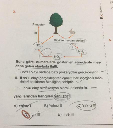 2.
Atmosfer
NO 3
Bitki ve hayvan atıkları
ve III
NO₂
NH3
Buna göre, numaralarla gösterilen süreçlerde mey-
dana gelen olaylarla ilgili,
I. I no'lu olayı sadece bazı prokaryotlar gerçekleştirir.
II. II no'lu olayı gerçekleştiren canlı türleri inorganik mad-