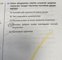 yer
m
I
20. Hücre döngüsünün interfaz evresinde aşağıdaki
olaylardan hangisi hayvansal hücrelerde gerçek-
leşmez?
A) Kromatin iplik sayısının iki katına çıkması
B) Yeni organellerin sentezlenmesi
C) Hücrede protein ve enzim sentezinin hızlanması
D) Kromatin ipliklerin kısalıp kalınlaşarak kromatit
oluşturması
FE) Sentriollerin eşlenmesi
nebantelimonov
siMAY (A