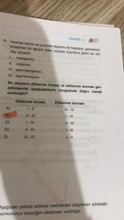 DENEME-5 HR
6. İnsanda sperm ve yumurta oluşumu ile başlayıp, gametlerin
birleşmesi ile devam eden süreçte meydana gelen bir dizi
olay şöyledir:
1. histogenez,
II. oogenez,
III. spermatogenez,
IV. segmentasyon
Bu olayların döllenme öncesi ve döllenme sonrası ger-
çekleşenler aşağıdakilerin hangisinde doğru olarak
verilmiştir?
A)
B)
D)
E)
Döllenme öncesi
1 - 11
||- |||
I-IV
II-IV
III-IV
Döllenme sonrası
III-IV
I - IV
||- |||
| - |||
1-11
Aşağıdaki şekilde adrenal medulladan salgılanan adrenalin
mormonunun karaciğeri etkilemesi verilmiştir.