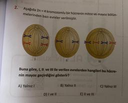 2.
Aşağıda 2n = 4 kromozomlu bir hücrenin mitoz ve mayoz bölün-
melerinden bazı evreler verilmiştir.
TAUX VITA
Buna göre, I, II ve III ile verilen evrelerden hangileri bu hücre-
nin mayoz geçirdiğini gösterir?
A) Yalnız I
D) I ve II
B) Yalnız II
E) II ve III
|||
C) Yalnız III
$
1