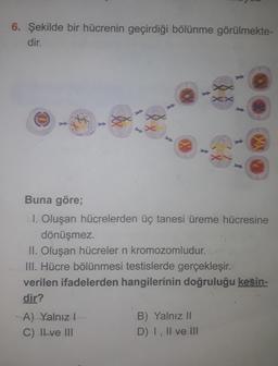 6. Şekilde bir hücrenin geçirdiği bölünme görülmekte-
dir.
x XX;
Buna göre;
1. Oluşan hücrelerden üç tanesi üreme hücresine
dönüşmez.
II. Oluşan hücreler n kromozomludur.
III. Hücre bölünmesi testislerde gerçekleşir.
verilen ifadelerden hangilerinin doğruluğu kesin-
dir?
A) Yalnız I
C) II ve III
XX
B) Yalnız II
D) I, II ve III