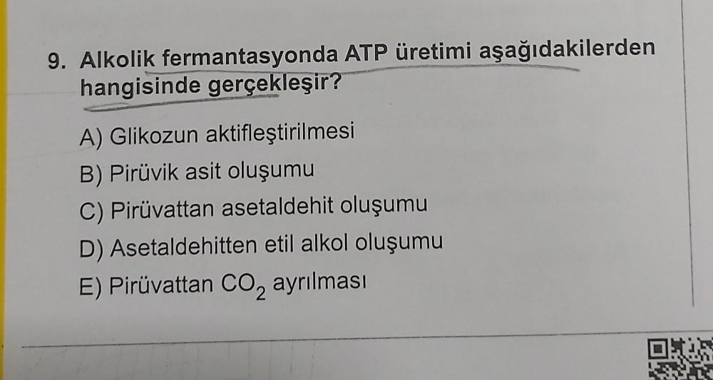 9. Alkolik fermantasyonda ATP üretimi aşağıdakilerden
hangisinde gerçekleşir?
A) Glikozun aktifleştirilmesi
B) Pirüvik asit oluşumu
C) Pirüvattan asetaldehit oluşumu
D) Asetaldehitten etil alkol oluşumu
E) Pirüvattan CO₂ ayrılması