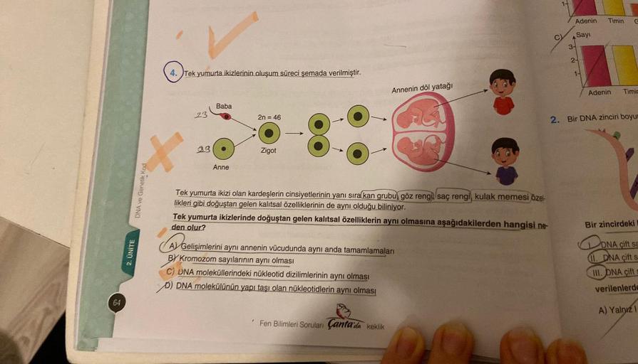 64
2. ÜNİTE
DNA ve Genetik Kod
4. Tek yumurta ikizlerinin oluşum süreci şemada verilmiştir.
X
23
33
Baba
Anne
2n = 46
Zigot
-8
Annenin döl yatağı
Tek yumurta ikizi olan kardeşlerin cinsiyetlerinin yanı sıra kan grubu göz rengi saç rengi, kulak memesi özel-