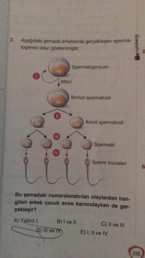 2.
Aşağıdaki şemada erkeklerde gerçekleşen sperma-
togenez olayı gösterilmiştir.
46
A) Yalnız I
IV
Mitoz
Spermatogonyum
Birincil spermatosit
D) Ill ve TV
B) I ve II
İkincil spermatosit
Bu şemadaki numaralandırılan olaylardan han-
gileri erkek çocuk anne ka