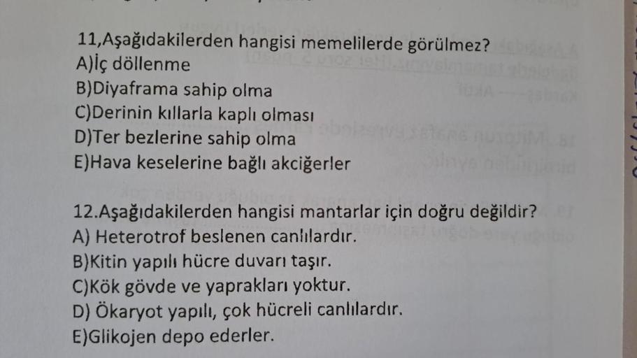 11,Aşağıdakilerden hangisi memelilerde görülmez?
A)iç döllenme
B)Diyaframa sahip olmal
C)Derinin kıllarla kaplı olması
D)Ter bezlerine sahip olma
E)Hava keselerine bağlı akciğerler
12.Aşağıdakilerden hangisi mantarlar için doğru değildir?
A) Heterotrof bes