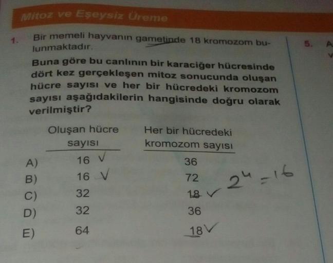 Mitoz ve Eşeysiz Üreme
lunmaktadır.
Bir memeli hayvanın gametinde 18 kromozom bu-
Buna göre bu canlının bir karaciğer hücresinde
dört kez gerçekleşen mitoz sonucunda oluşan
hücre sayısı ve her bir hücredeki kromozom
sayısı aşağıdakilerin hangisinde doğru o