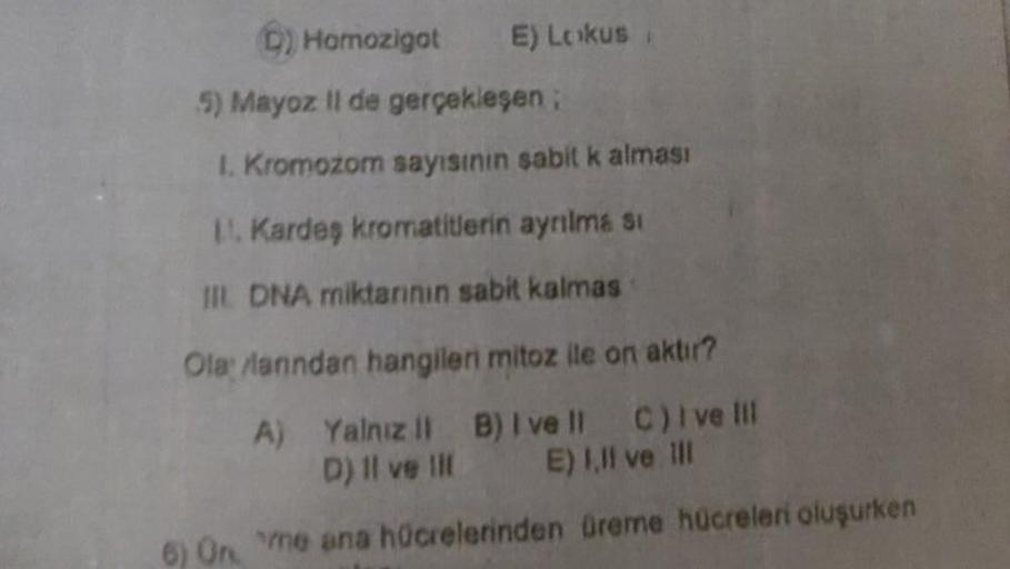 E) Lokus
D) Homozigot
5) Mayoz II de gerçekleşen;
1. Kromozom sayısının sabit k alması
11. Kardeş kromatitlerin ayrılması
III DNA miktarının sabit kalmas
Ola lanndan hangileri mitoz ile on aktır?
A) Yalnız it B) I ve ll C)ive li
D) Il ve Ill
E) 1,lf ve ill