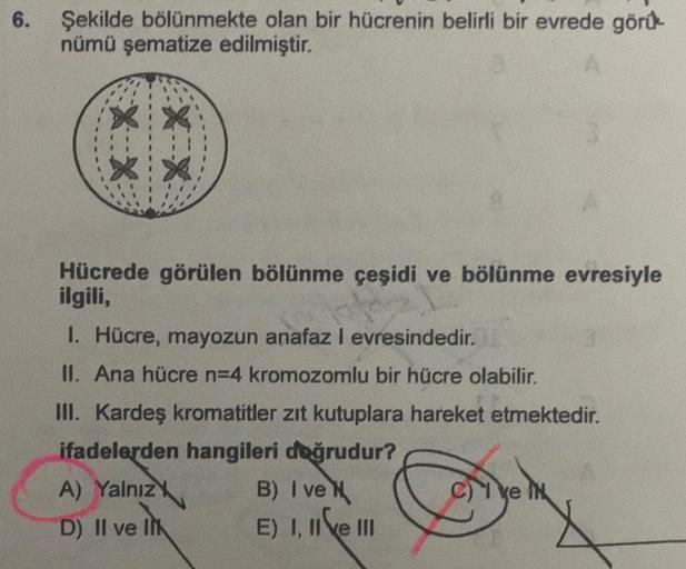 6. Şekilde bölünmekte olan bir hücrenin belirli bir evrede görü
nümü şematize edilmiştir.
XX
XX
Hücrede görülen bölünme çeşidi ve bölünme evresiyle
ilgili,
1. Hücre, mayozun anafaz I evresindedir.
II. Ana hücre n=4 kromozomlu bir hücre olabilir.
III. Karde