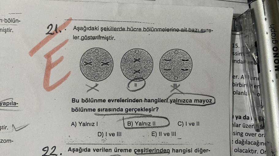 n-bölün-
miştir.
yapıla-
ştir.
zom-
24. Aşağıdaki şekillerde hücre bölünmelerine ait bazı evre-
ler gösterilmiştir.
E
Bu bölünme evrelerinden hangileri yalnızca mayoz
bölünme sırasında gerçekleşir?
A) Yalnız I
11
D) I ve III
B) Yalnız II
E) II ve III
C) I