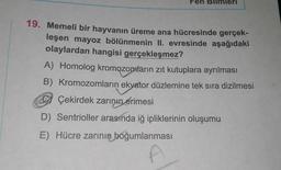 Fen
mieri
19. Memeli bir hayvanın üreme ana hücresinde gerçek-
leşen mayoz bölünmenin II. evresinde aşağıdaki
olaylardan hangisi gerçekleşmez?
A) Homolog kromozomların zıt kutuplara ayrılması
B) Kromozomların ekvator düzlemine tek sıra dizilmesi
Çekirdek zarının erimesi
D) Sentrioller arasında iğ ipliklerinin oluşumu
E) Hücre zarının boğumlanması