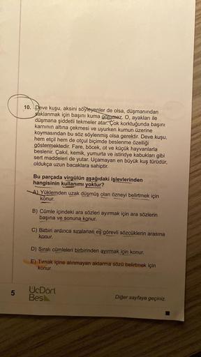 5
10. Deve kuşu, aksini söyleyenler de olsa, düşmanından
saklanmak için başını kuma gömmez. O, ayakları ile
düşmana şiddetli tekmeler atar. Çok korktuğunda başını
karnının altına çekmesi ve uyurken kumun üzerine
koymasından bu söz söylenmiş olsa gerektir.