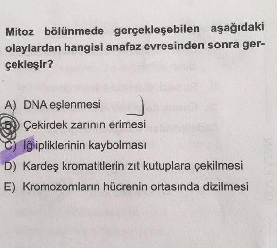 Mitoz bölünmede gerçekleşebilen
aşağıdaki
olaylardan hangisi anafaz evresinden sonra ger-
çekleşir?
A) DNA eşlenmesi
Çekirdek zarının erimesi
Iğ ipliklerinin kaybolması
D) Kardeş kromatitlerin zıt kutuplara çekilmesi
E) Kromozomların hücrenin ortasında diz